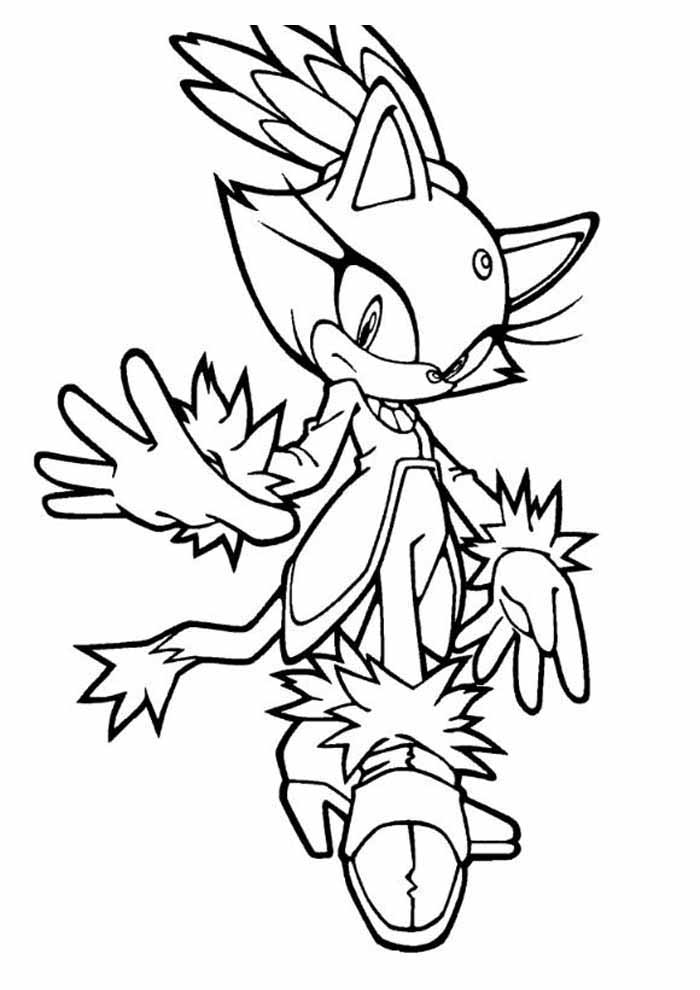 Explore a Aventura de Blaze the Cat