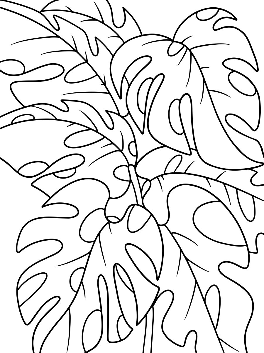 Explosão de Monstera