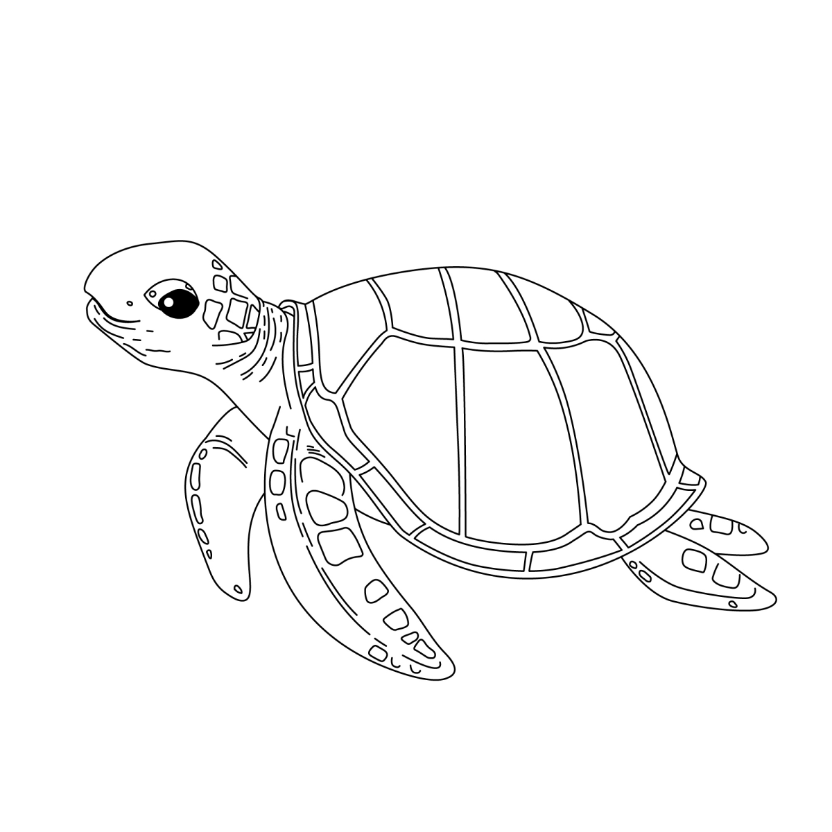 Desenho de Filhote de tartaruga-marinha nadando para imprimir e colorir