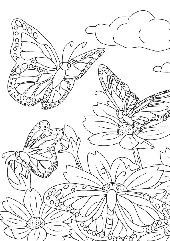 FLores e Borboletas para Colorir