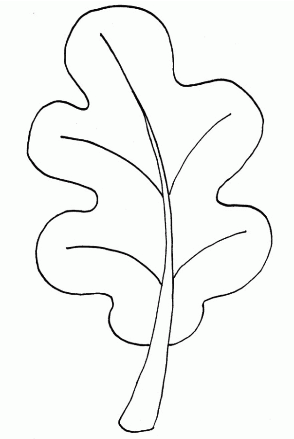 Magia nas Folhas: Crie Seu Próprio Jardim
