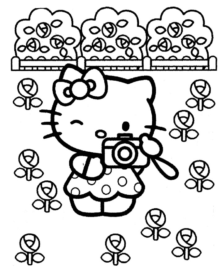 Fotografia no Jardim com Hello Kitty