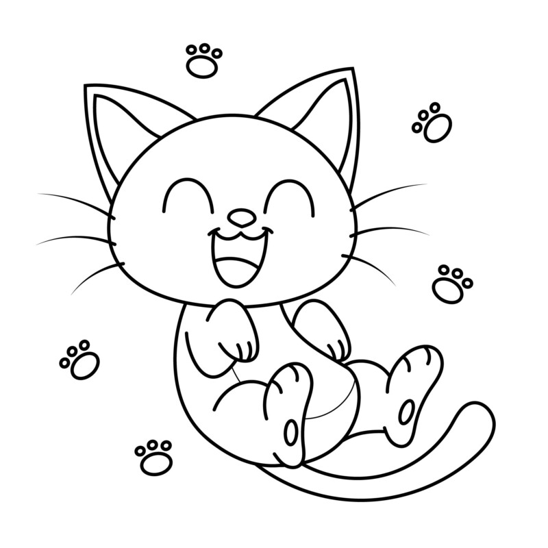 Gatinho Feliz em Ação