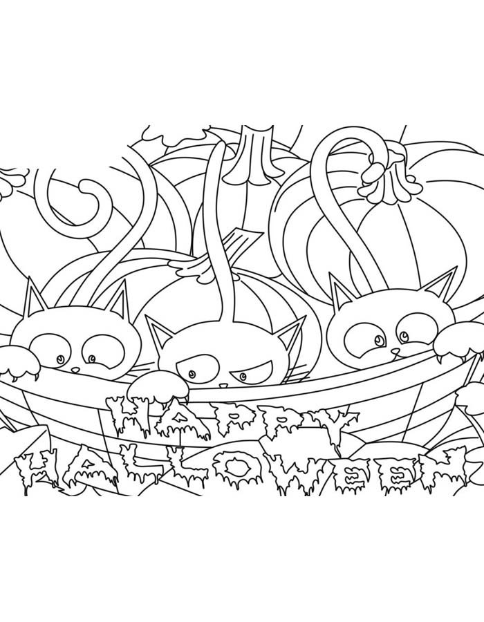 Gatinhos Escondidos no Halloween