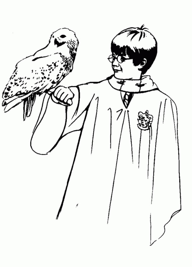 Harry e Hedwig: A Magia da Amizade