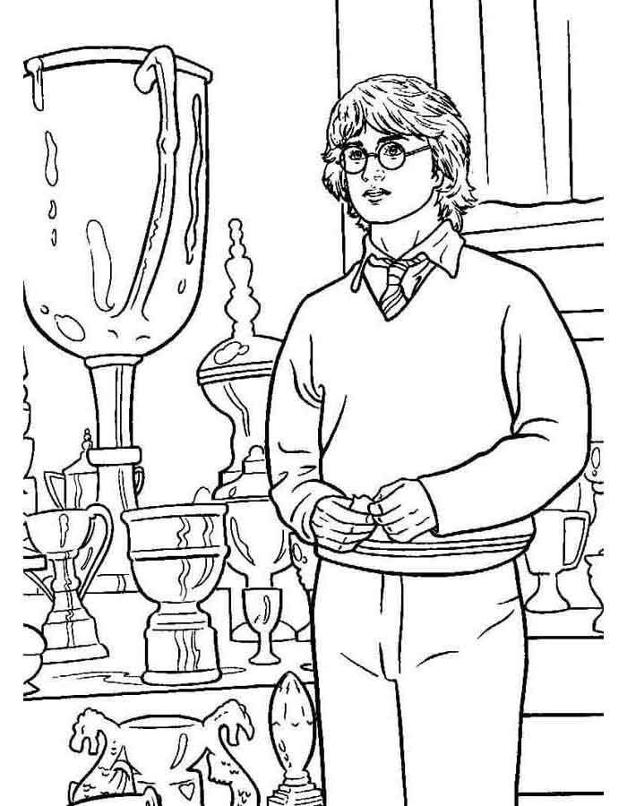 Harry e o Troféu Mágico