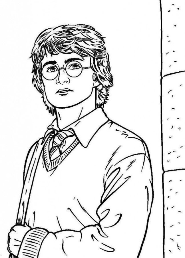 Explore o Mundo Mágico com Harry Potter