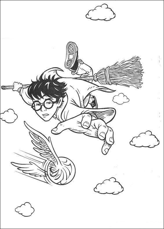 Harry Potter em Busca do Pomo de Ouro