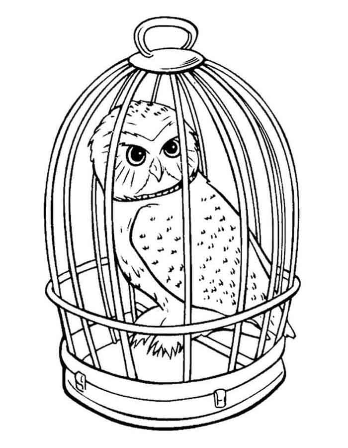 Hedwig: A Coruja Icônica na Gaiola