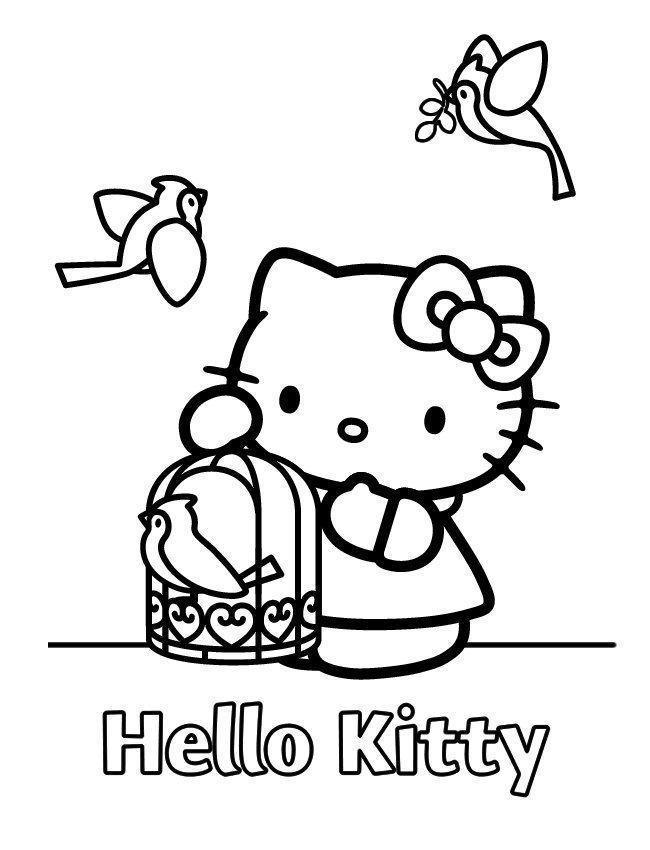 Hello Kitty's Birdwatching Adventure