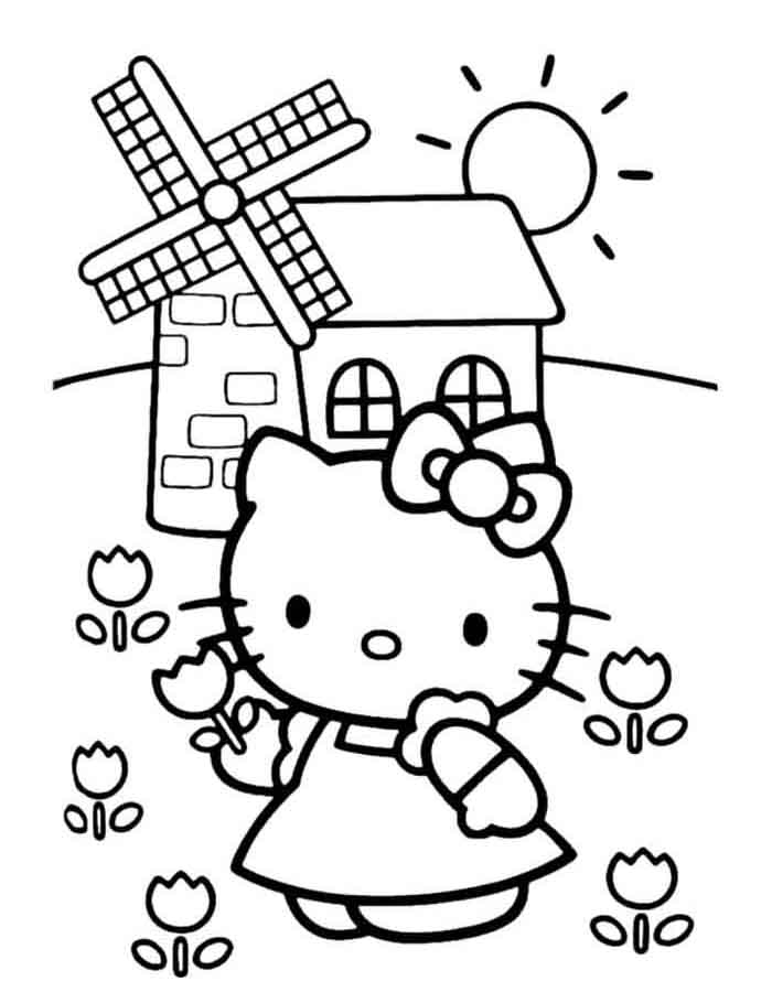 Hello Kitty e o Encanto do Campo
