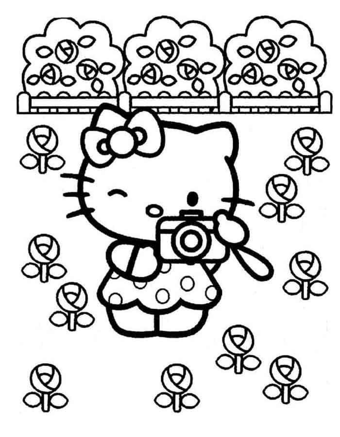 Hello Kitty no Jardim das Fotos