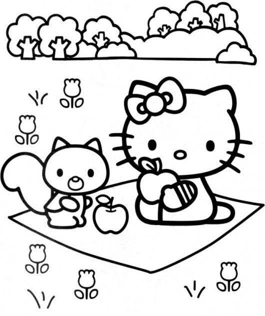 Hello Kitty e Amiguinho no Piquenique Encantado