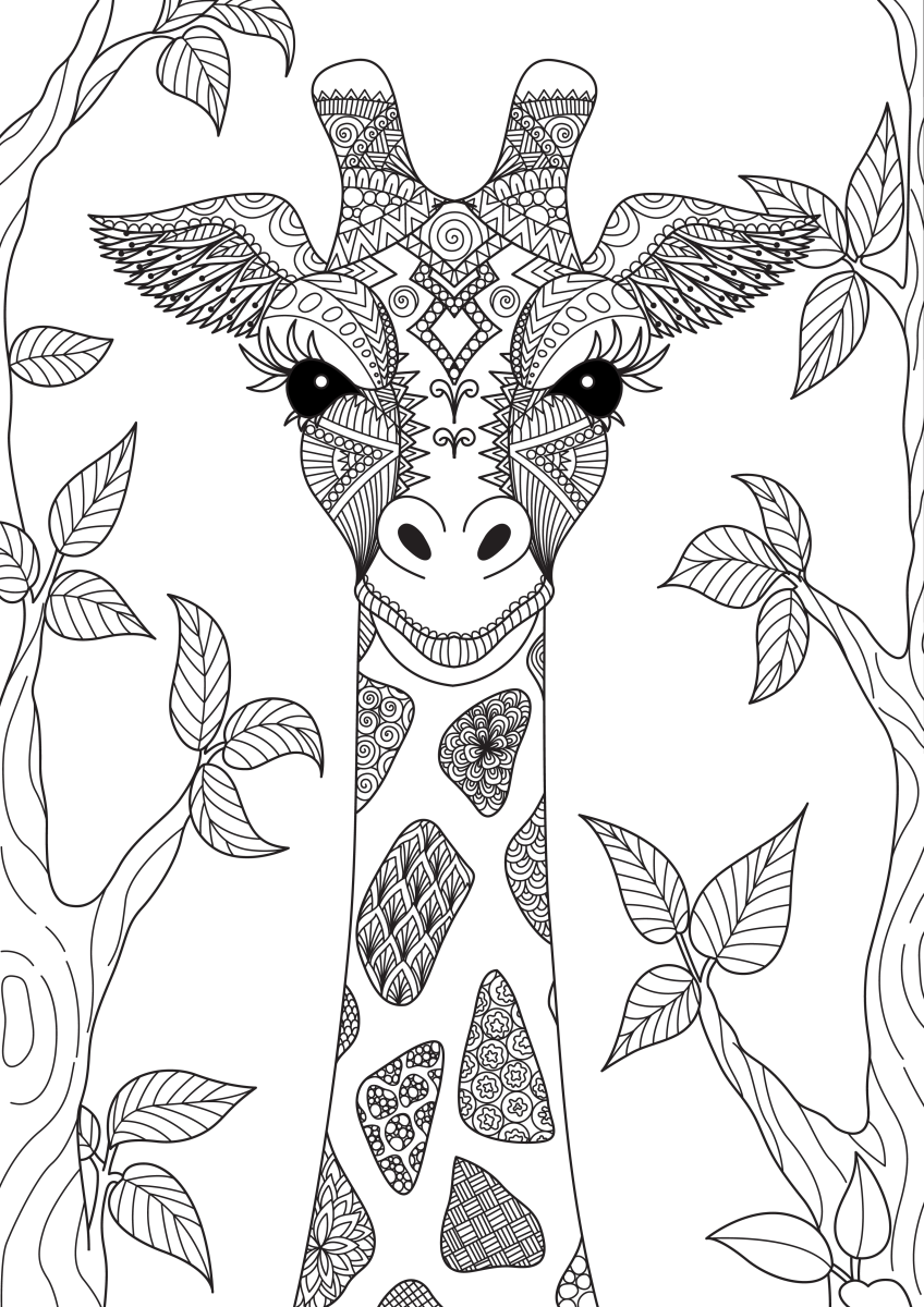 Hora de Colorir com a Girafa Mística