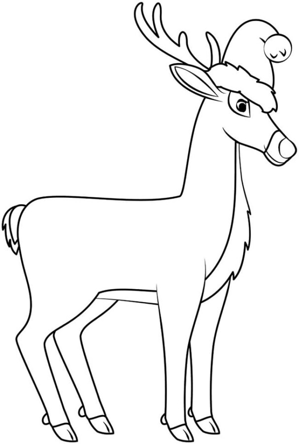 Ilumine o Natal com Rudolph, a Rena do Nariz Vermelho