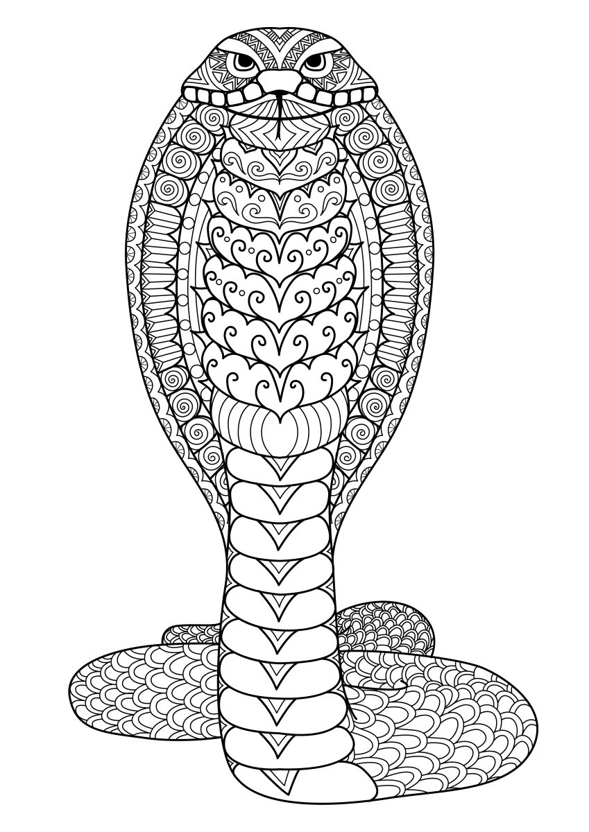 Intrincada Cobra para Colorir