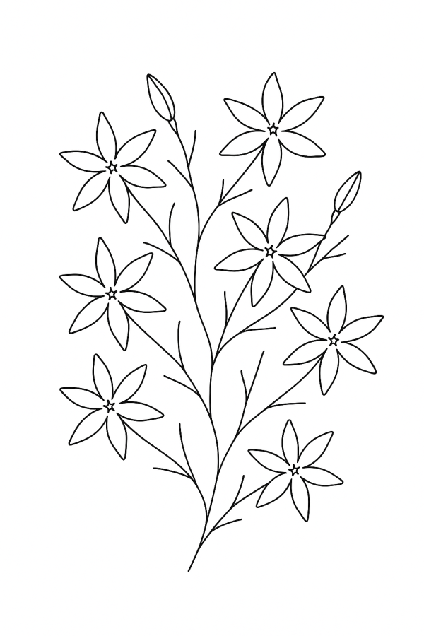 Jardim de Estrelas: Flores para Colorir