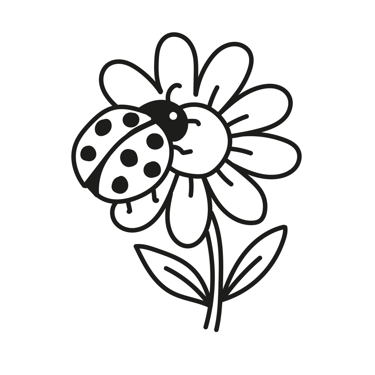 A Joaninha e a Flor Encantada