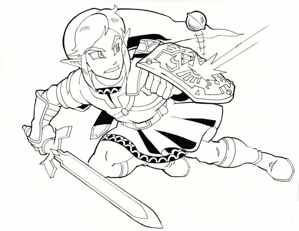 Link em Ação: Defensor de Hyrule