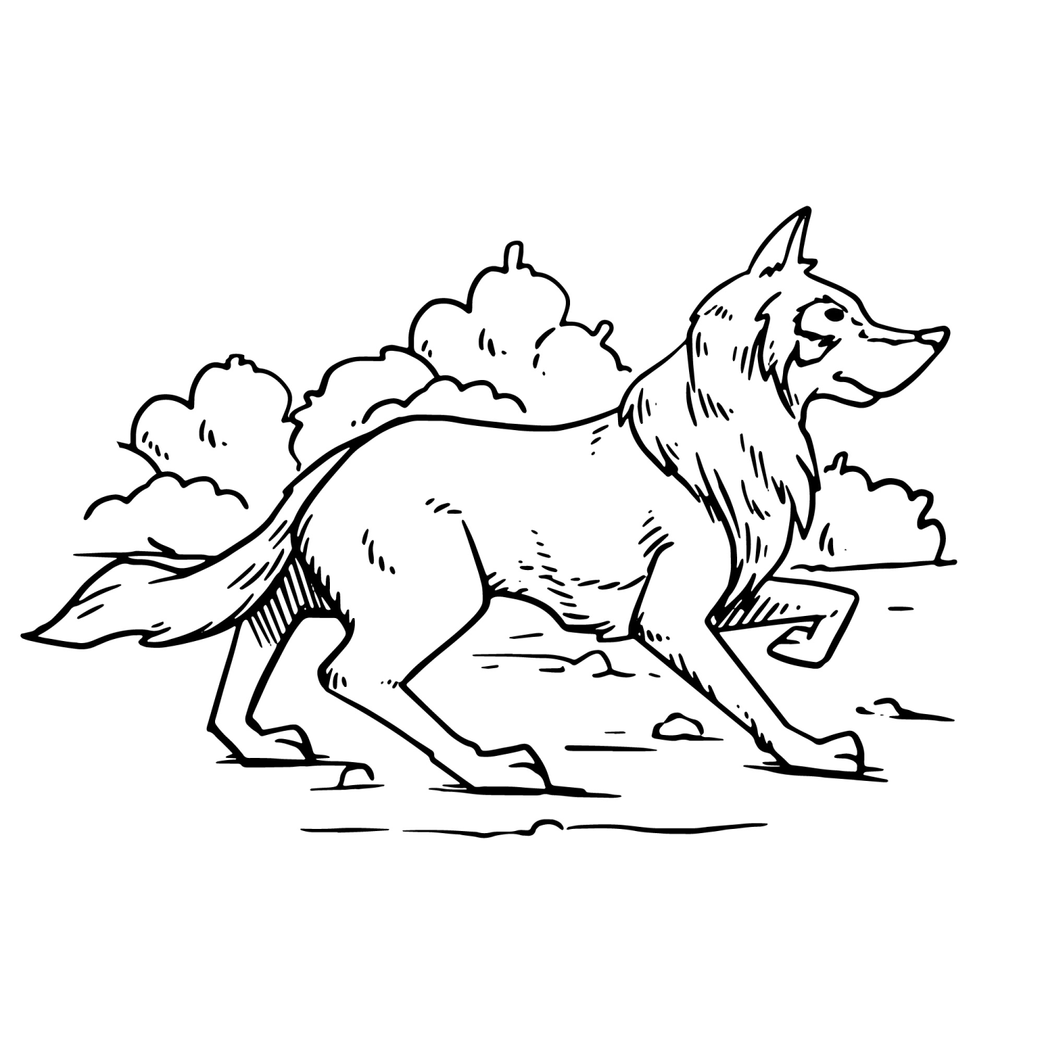 Lobo Caminhando pela Floresta