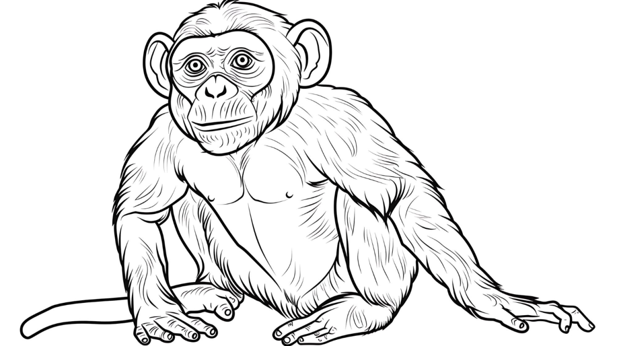 Aventure-se no Mundo do Macaco Curioso