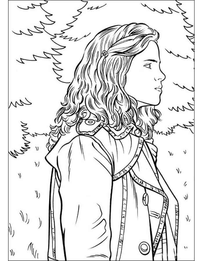 A Magia de Hermione Granger