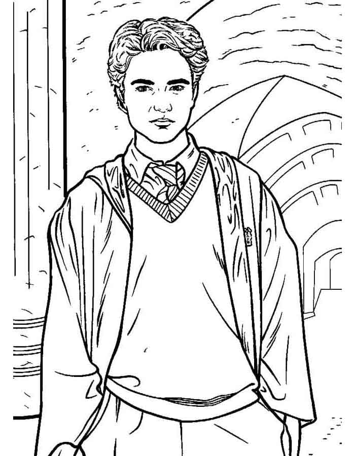 Magia dos Detalhes em Hogwarts