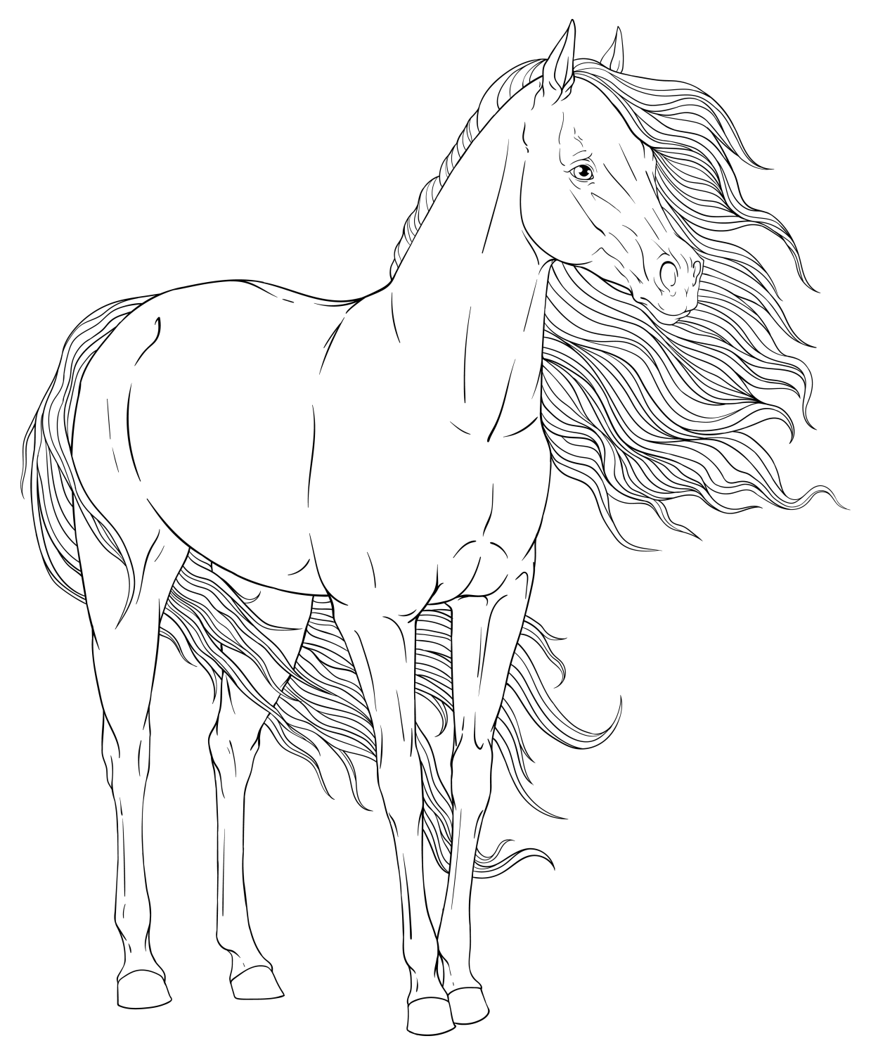 Majestic Horse Design