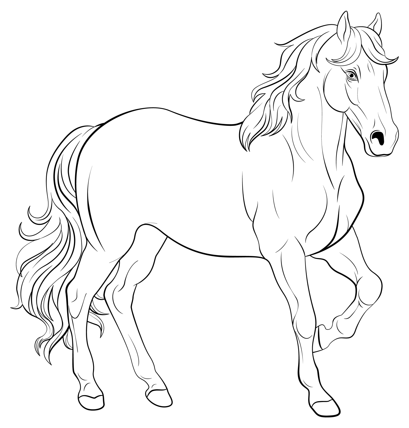 Majestic Horse Ready for Colors