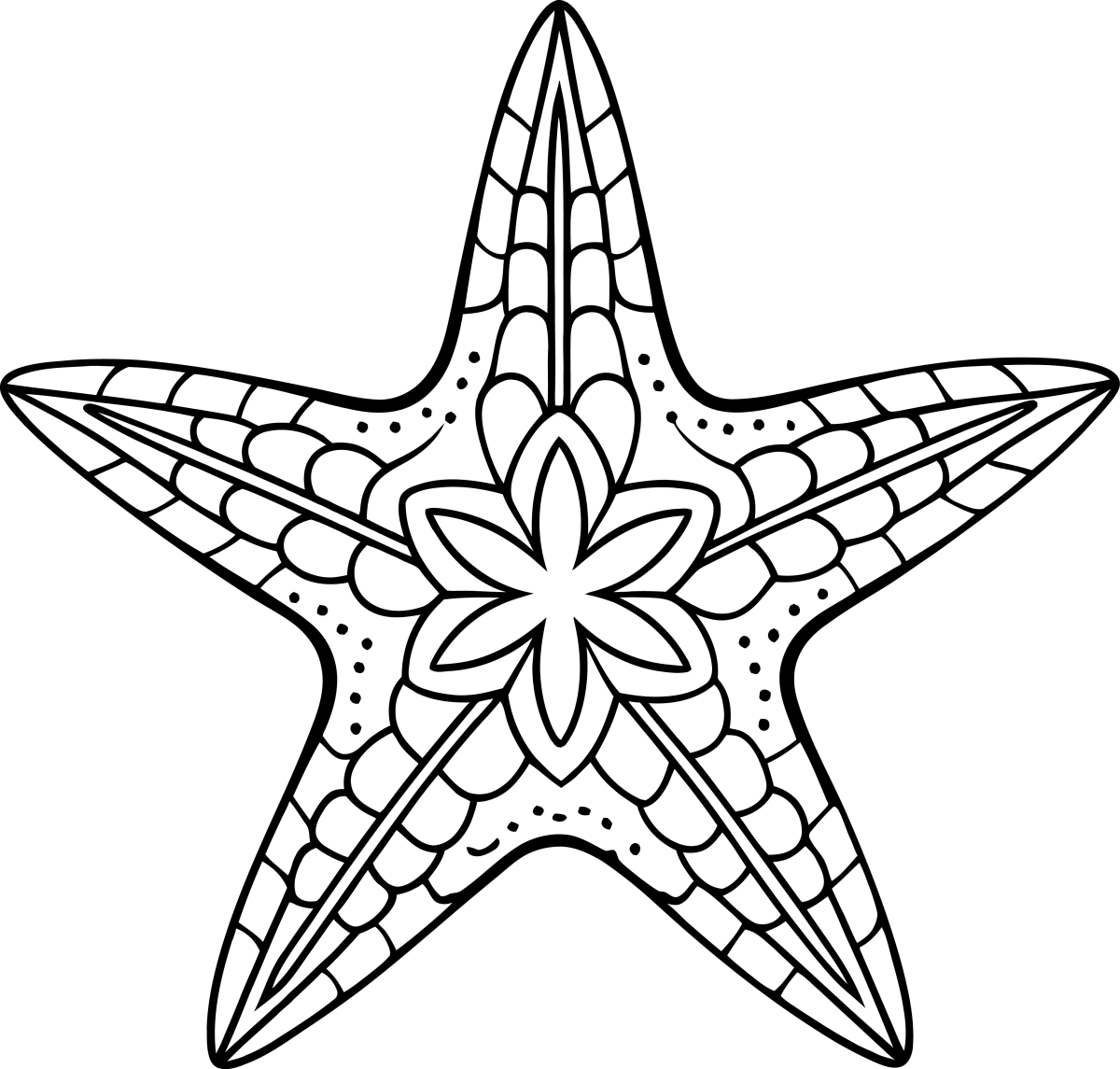 Mandala da Estrela do Mar Reluzente
