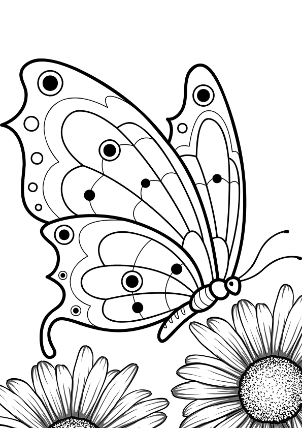 Mariposas e Margaridas