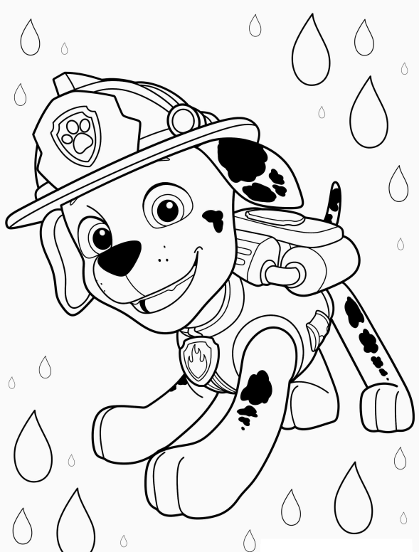 Marshall em Ação: Aventure-se com o Bombeiro de Patrulha Canina
