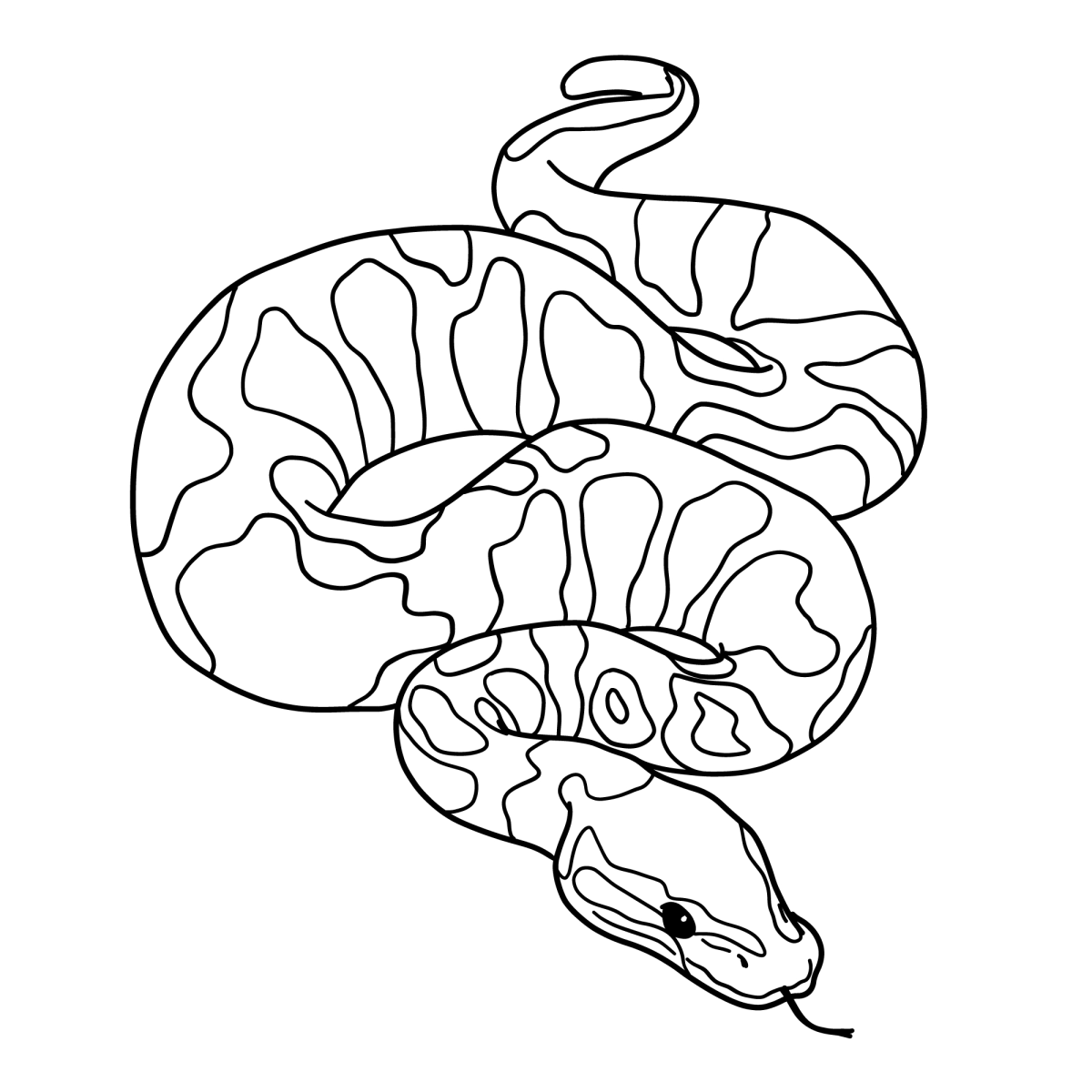 Misteriosa Cobra para Colorir
