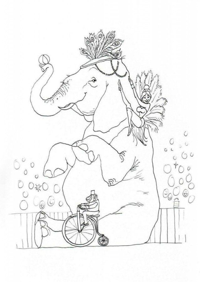 Momento mágico no circo com elefante encantador