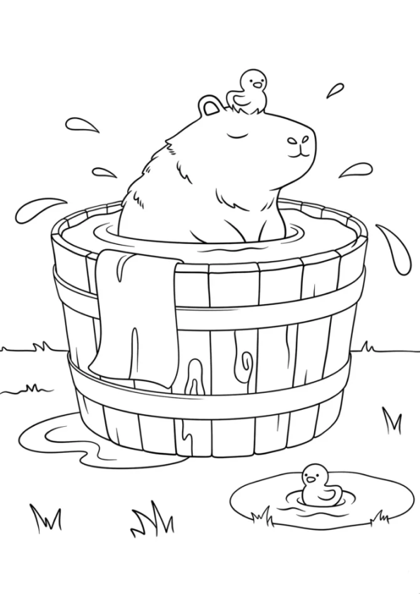 Momento Relaxante da Capivara