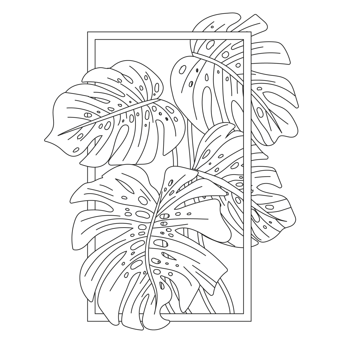 Monstera: A Arte nas Folhas