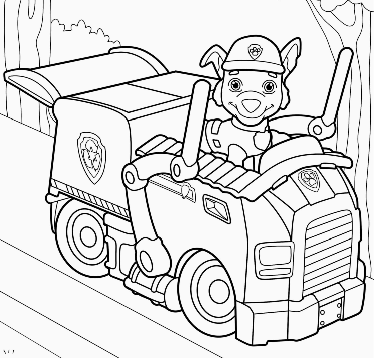 Patrulha Canina na Aventura: Pronto para Colorir!