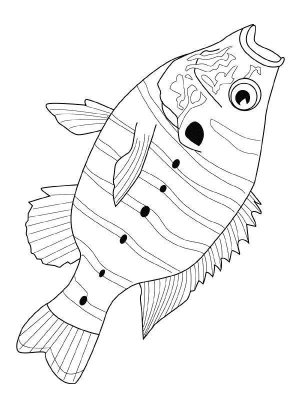 Peixe Exótico para Colorir
