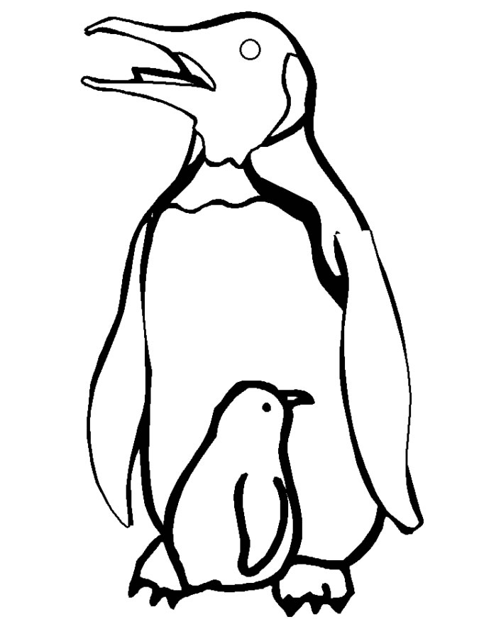 Pinguins Adoráveis à Espera de Cor
