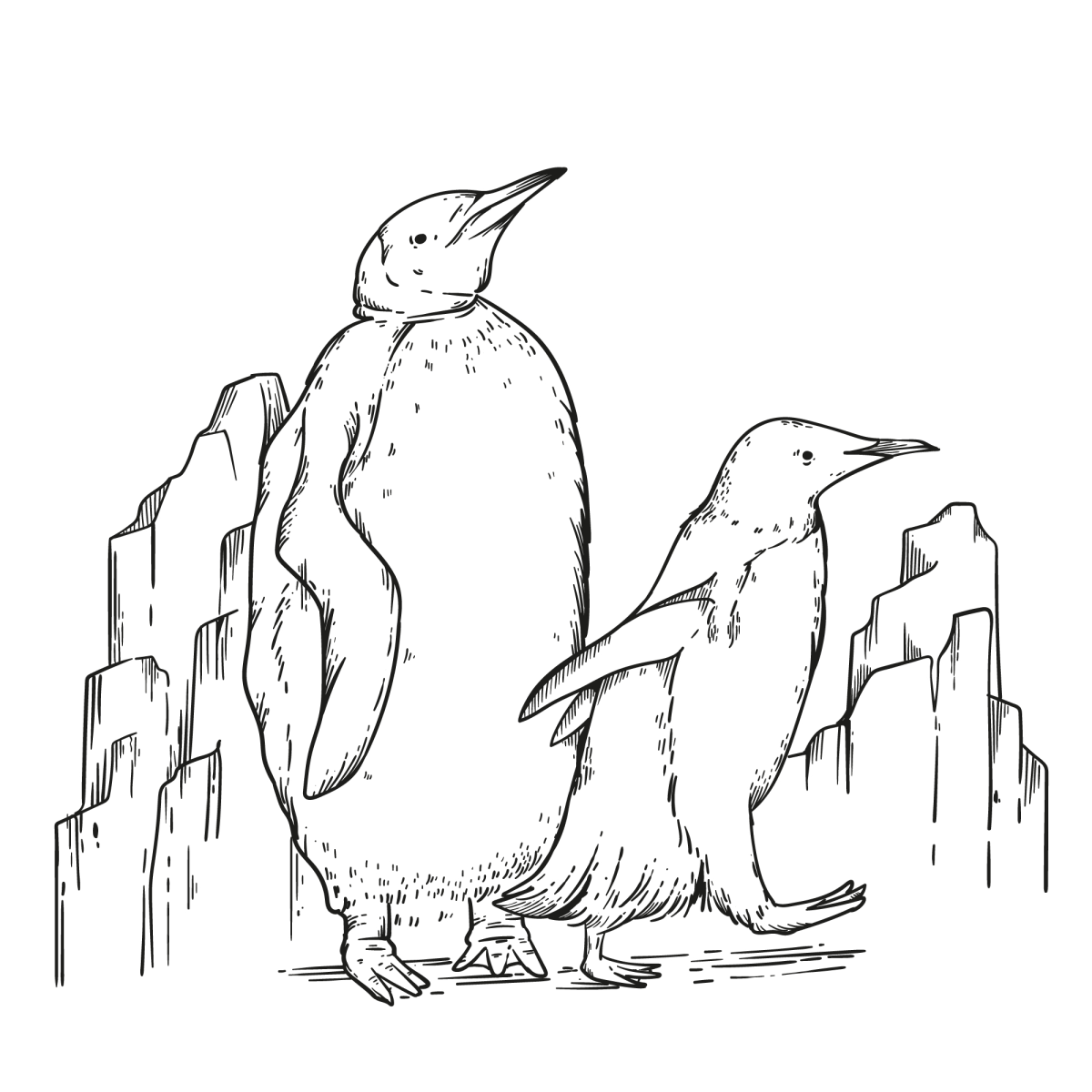 Pinguins Majestosos na Neve