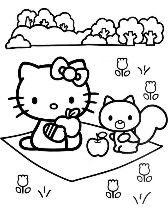 Piquenique Encantado com Hello Kitty