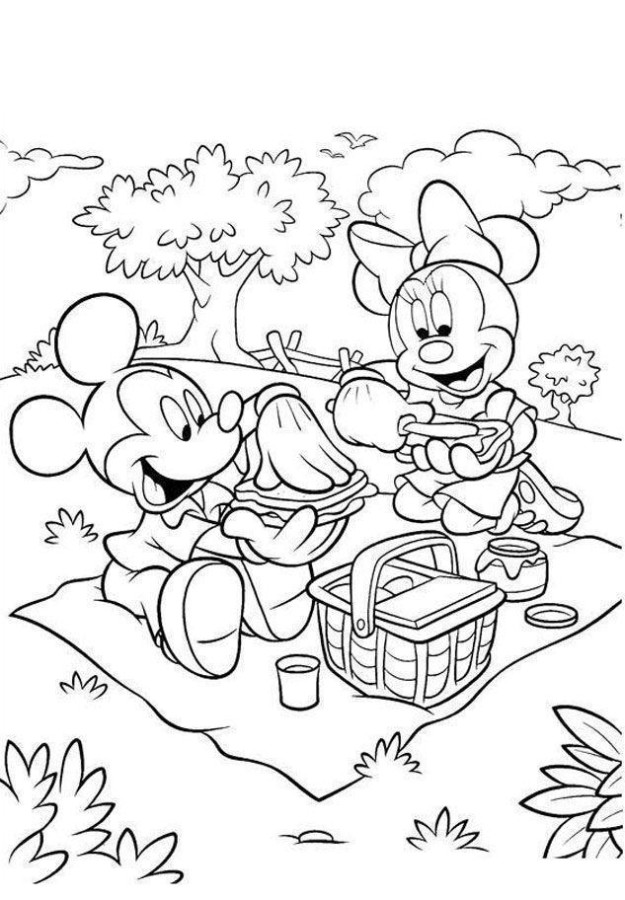 Um Piquenique Encantado com Mickey e Minnie