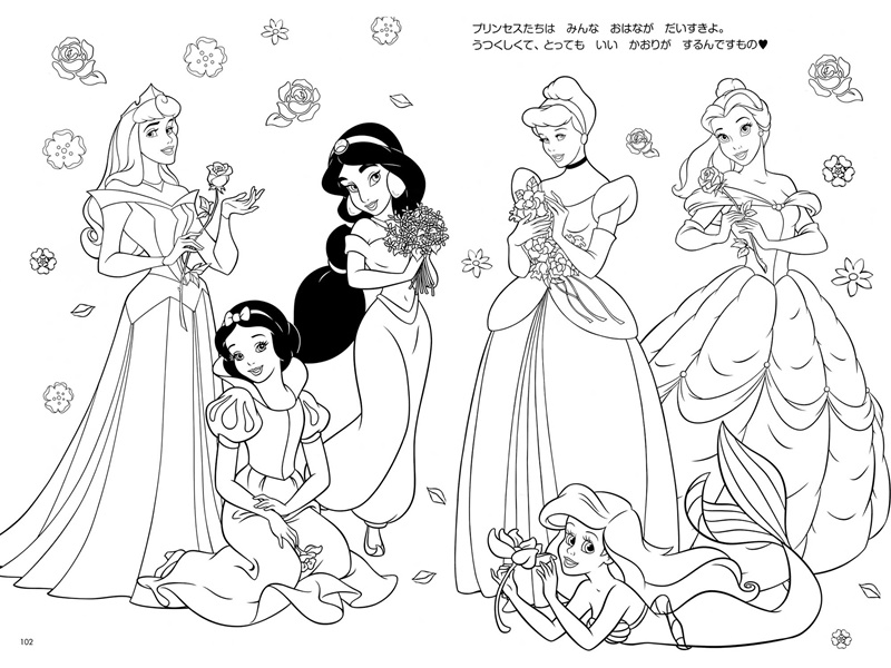 Princesas Encantadas: Um Jardim de Cores