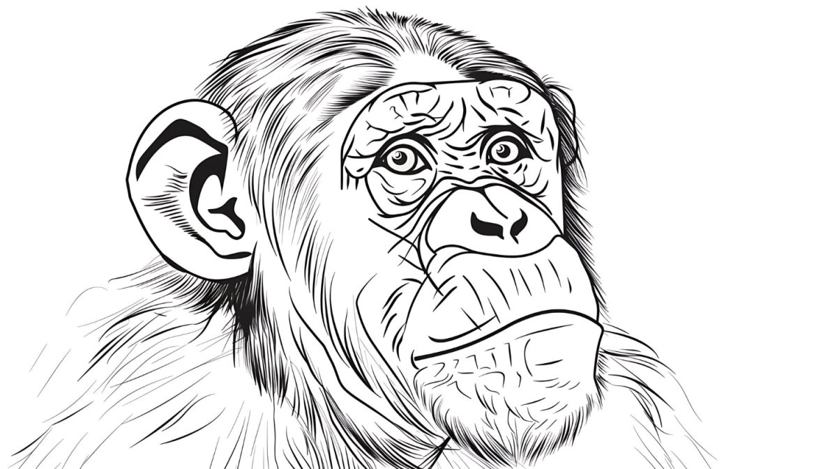 Retrato do Macaco Pensativo