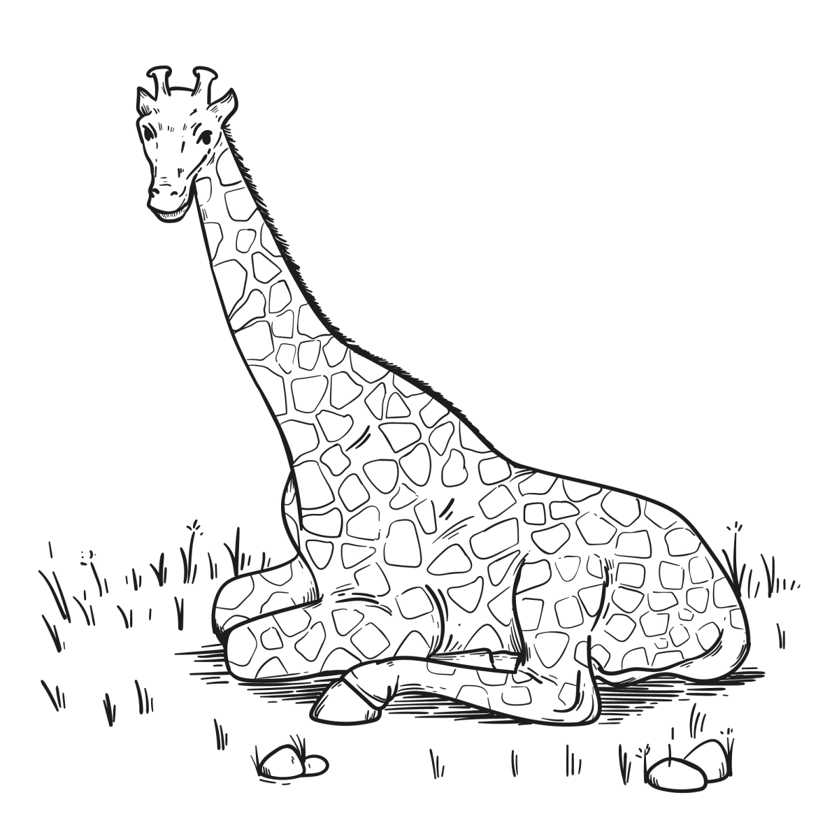 A Serenidade da Girafa Descansando