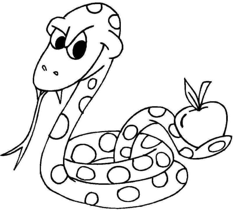 A Serpente Malandra e a Maçã Misteriosa
