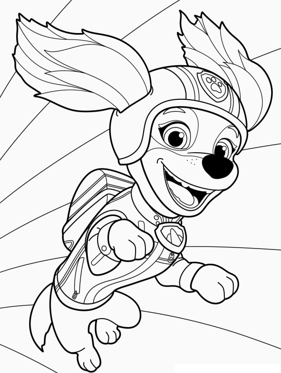 Skye em Ação: Aventure-se com PAW Patrol