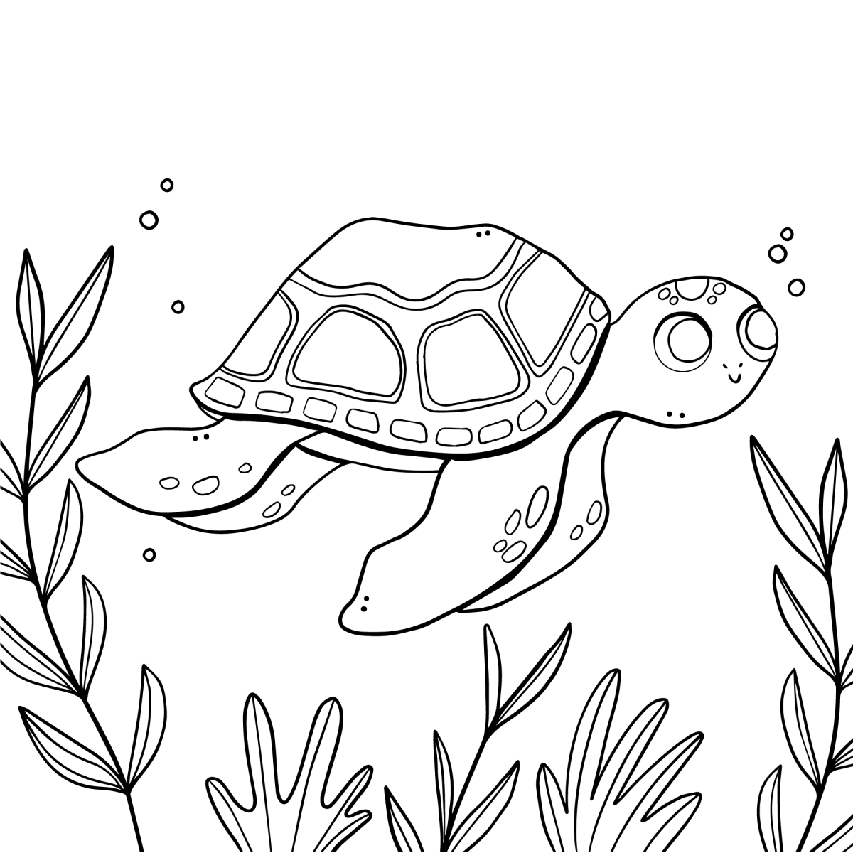 Desenho de Tartaruga-marinha passeando pelo fundo do mar para imprimir e colorir