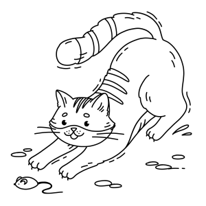 A Aventura do Gatinho Brincalhão