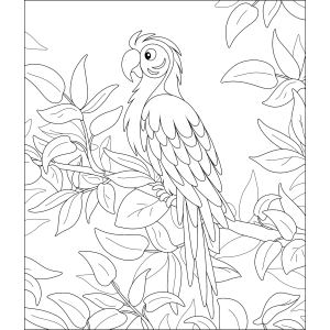 Arara entre as folhas da mata para colorir